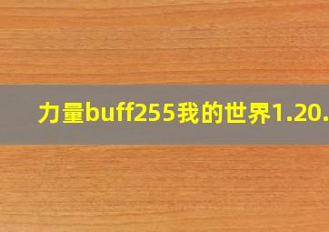 力量buff255我的世界1.20.1