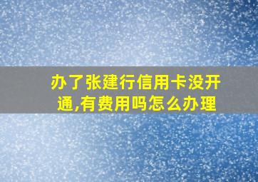 办了张建行信用卡没开通,有费用吗怎么办理