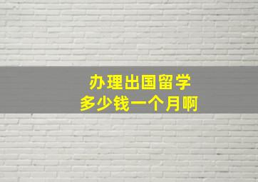 办理出国留学多少钱一个月啊