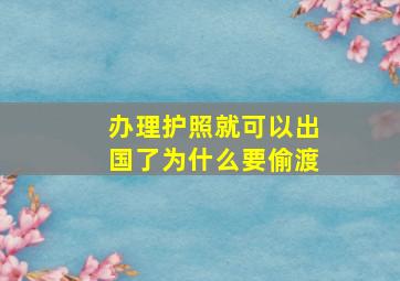 办理护照就可以出国了为什么要偷渡