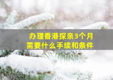 办理香港探亲3个月需要什么手续和条件