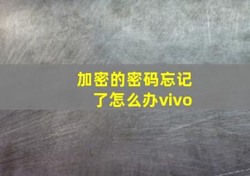 加密的密码忘记了怎么办vivo