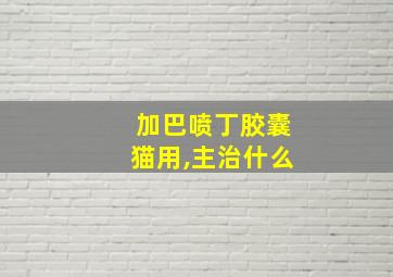 加巴喷丁胶囊猫用,主治什么