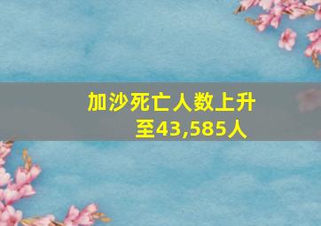 加沙死亡人数上升至43,585人