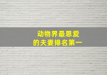 动物界最恩爱的夫妻排名第一