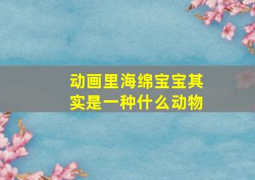 动画里海绵宝宝其实是一种什么动物