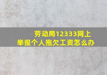 劳动局12333网上举报个人拖欠工资怎么办