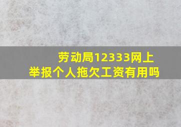 劳动局12333网上举报个人拖欠工资有用吗