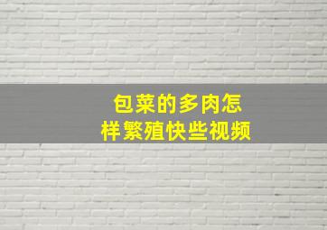 包菜的多肉怎样繁殖快些视频