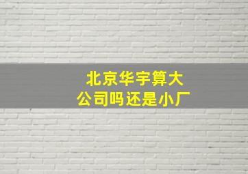 北京华宇算大公司吗还是小厂