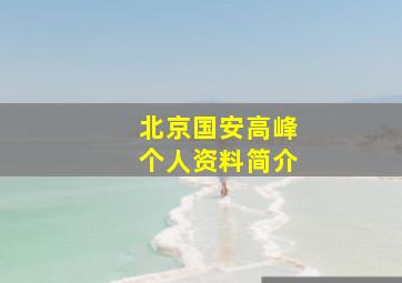 北京国安高峰个人资料简介