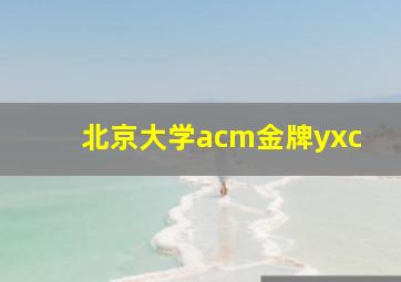 北京大学acm金牌yxc