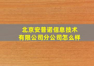 北京安普诺信息技术有限公司分公司怎么样