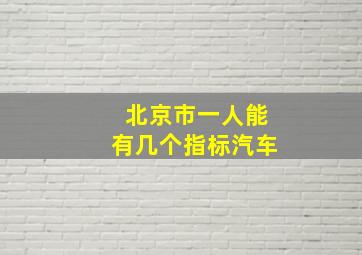 北京市一人能有几个指标汽车