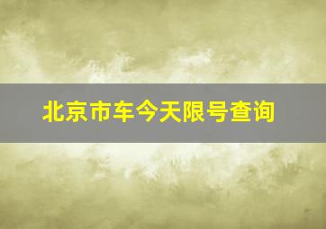 北京市车今天限号查询