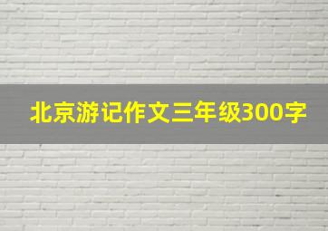 北京游记作文三年级300字