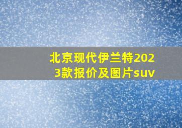 北京现代伊兰特2023款报价及图片suv