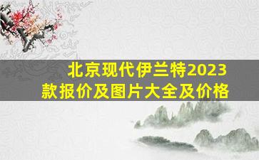 北京现代伊兰特2023款报价及图片大全及价格