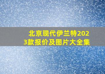 北京现代伊兰特2023款报价及图片大全集