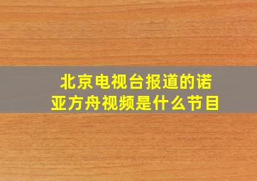 北京电视台报道的诺亚方舟视频是什么节目