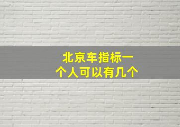 北京车指标一个人可以有几个