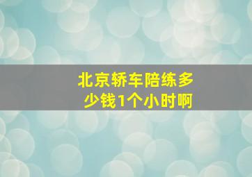 北京轿车陪练多少钱1个小时啊