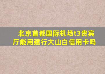 北京首都国际机场t3贵宾厅能用建行大山白信用卡吗