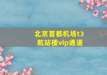 北京首都机场t3航站楼vip通道