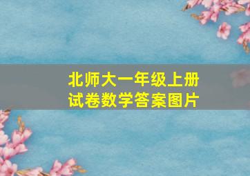 北师大一年级上册试卷数学答案图片