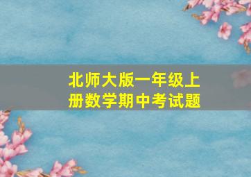 北师大版一年级上册数学期中考试题