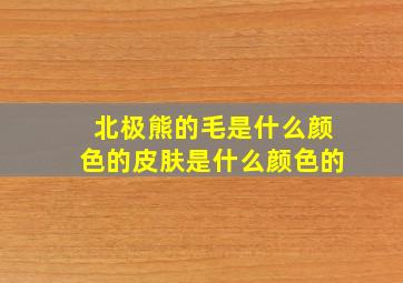 北极熊的毛是什么颜色的皮肤是什么颜色的