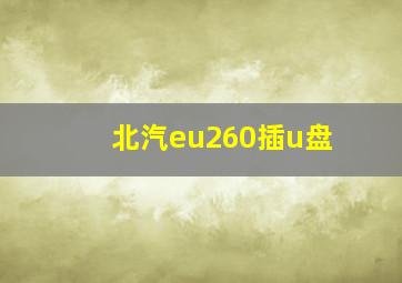 北汽eu260插u盘