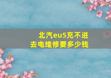 北汽eu5充不进去电维修要多少钱