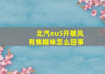 北汽eu5开暖风有焦糊味怎么回事