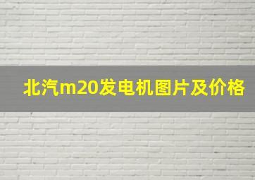 北汽m20发电机图片及价格