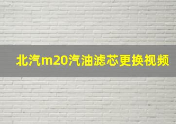 北汽m20汽油滤芯更换视频