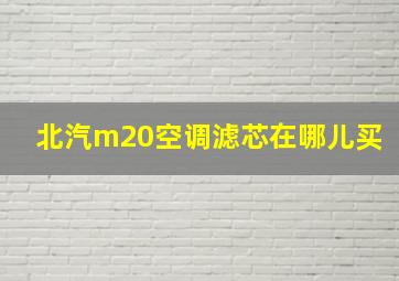 北汽m20空调滤芯在哪儿买