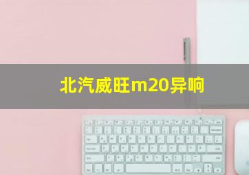 北汽威旺m20异响