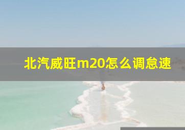 北汽威旺m20怎么调怠速