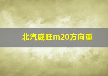 北汽威旺m20方向重