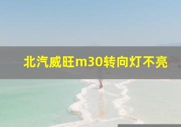 北汽威旺m30转向灯不亮