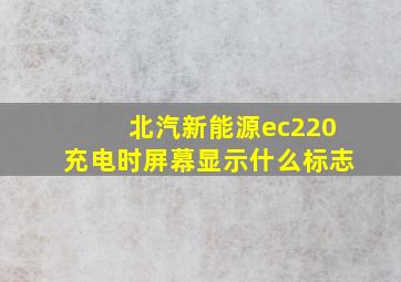 北汽新能源ec220充电时屏幕显示什么标志