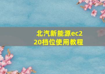 北汽新能源ec220档位使用教程