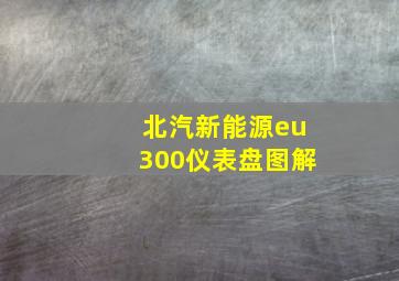 北汽新能源eu300仪表盘图解