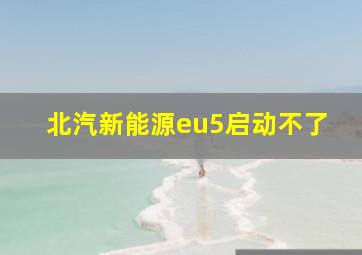 北汽新能源eu5启动不了