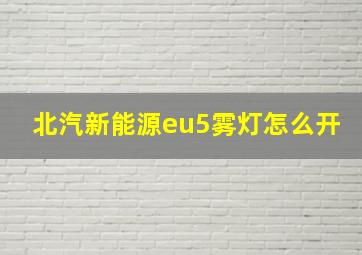 北汽新能源eu5雾灯怎么开