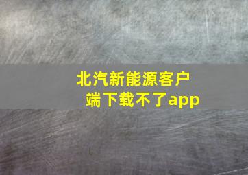 北汽新能源客户端下载不了app