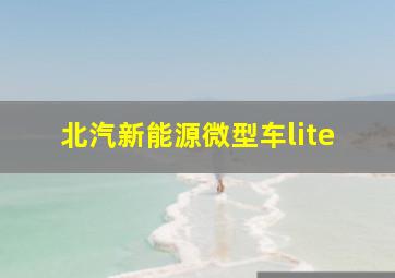 北汽新能源微型车lite