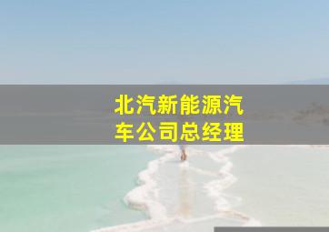 北汽新能源汽车公司总经理