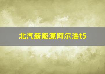 北汽新能源阿尔法t5